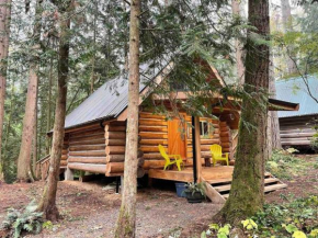Wind Down Log Cabin in the Woods with Cozy Woodstove